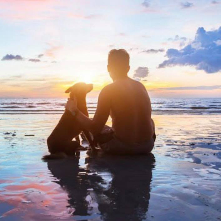 sunset bg my best friend vet pet euthanasia