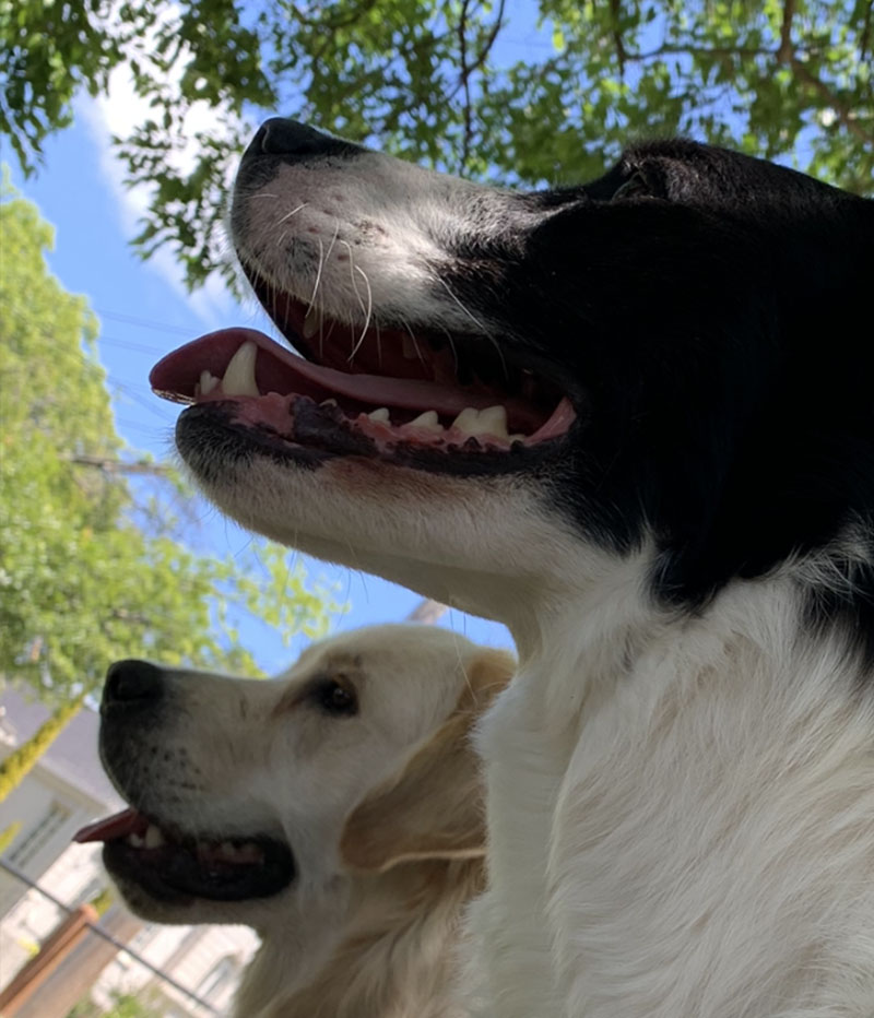 sadie-evie